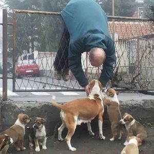 Meet your Posher, Julia